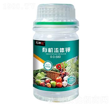 �ЙC���w�-�f��t-�Z�\��