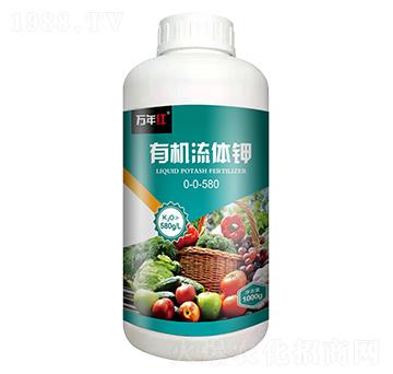 1000g�ЙC(j��)���w�-�f��t-�Z�\��