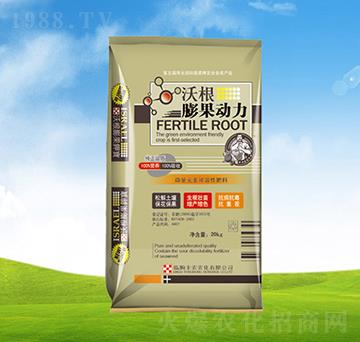 �ָ������(d��ng)��-ֲ��-�S