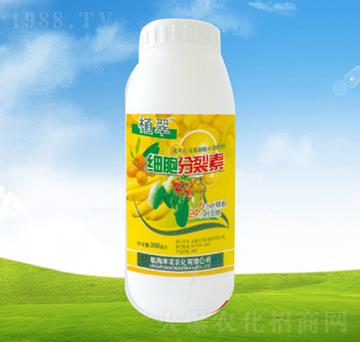 ��(x��)�������ء�ƿ��-ֲ��