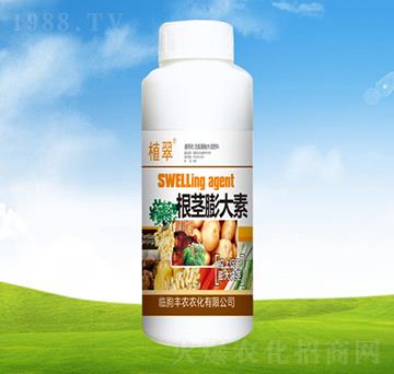 ���o����ء�ƿ��-ֲ��