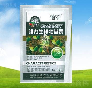 ��(qi��ng)�����������`-ֲ��-