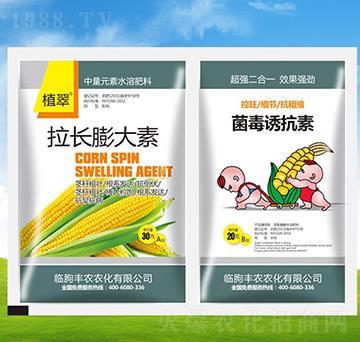 ���������+�����T����