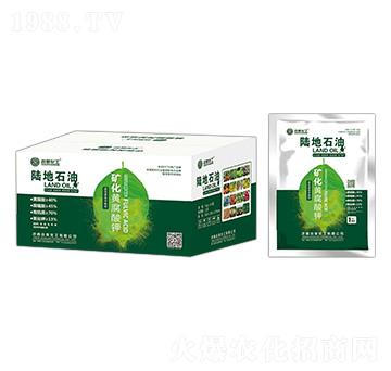 1kg�V���S�����-�G��ʯ��-��Ȫ����