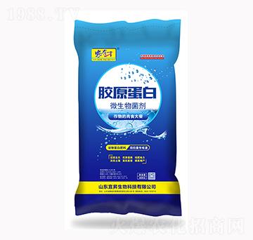 �zԭ����΢�������-�˕N����