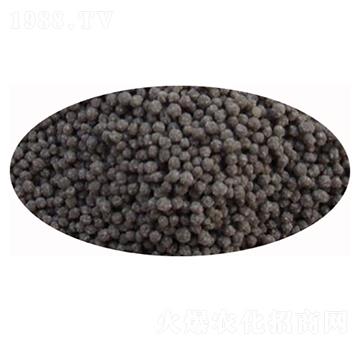 �w���������ЙC(j��)��-�|�r(n��ng)��