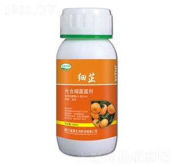 ���ƹ�ϼ�������-ʢԴ