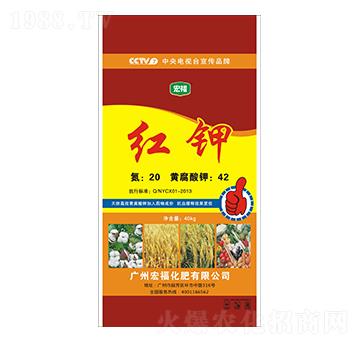 �t�-�������