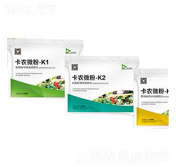 ���r΢��ϵ�У��M��������-���r