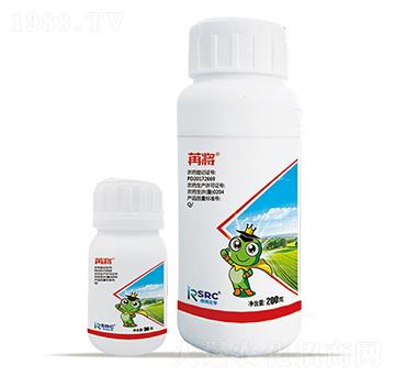 12%�׾S�x����-�ی�-���r(n��ng)