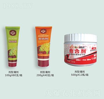 ֲ�����τ�-����-����