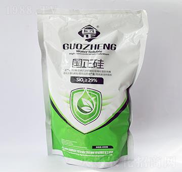 ������-������