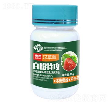 �׷��ع�-������