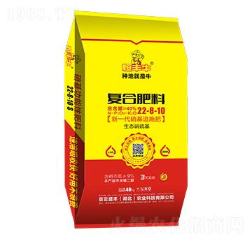 40kg復合肥料22-8-10-京云盛豐