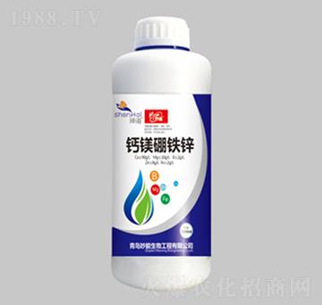 �}�V���F�\-��������