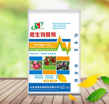 ΢�������40kg-��������