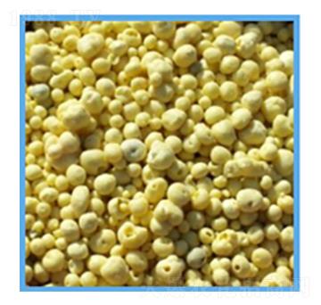 �w�����-���P����