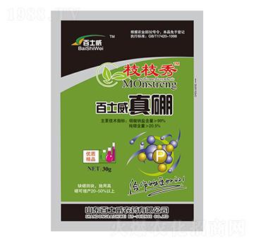 ��ʿ������-֦֦��-��ʿ��