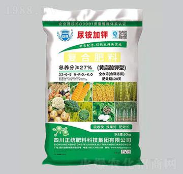 �S������͏�(f��)�Ϸ���22-0-5��50���-�P������