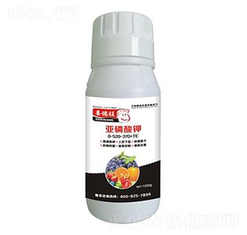 �������0-520-370+TE-ϲ����