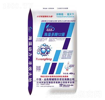 ���r�S�����ø12��-���S�r��