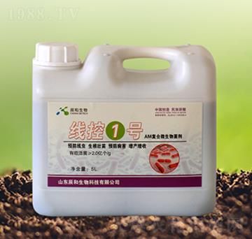 ����1̖-��������