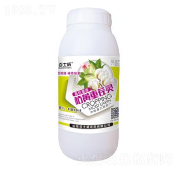 ���S�ز��`-��ʿ��