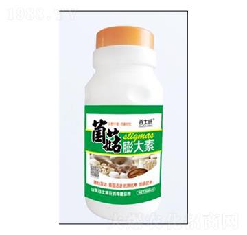 ���������-��ʿ��