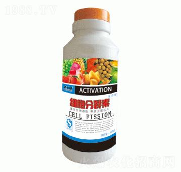 ��(x��)��������-��ʿ��