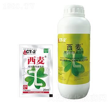 �p���T�����-����-������