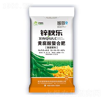 �S�������Ϸ�-�\�