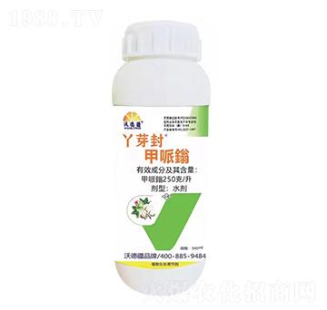 Ѿѿ������f-�ֵ½�-���֠��r(n��ng)�I(y��)