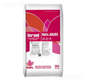 ������}��-����������5̖-����������