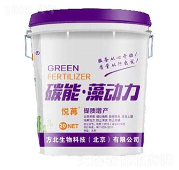 ̼�����(d��ng)��-��������