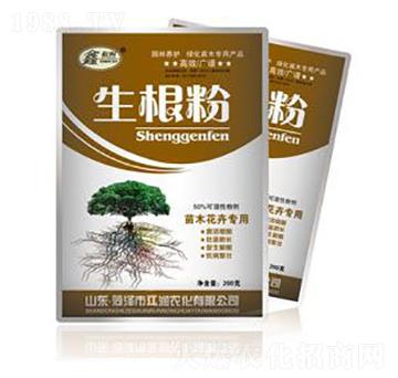 ������-��������