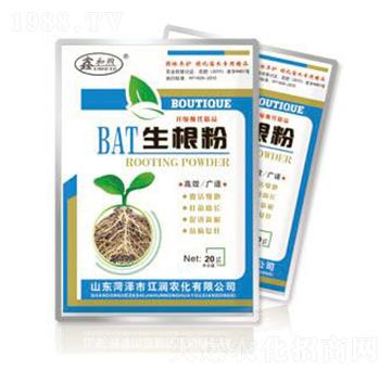 BAT������-����(r��n)����