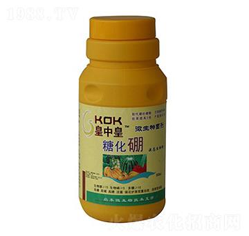 �ǻ���-���л�-�A�I��