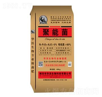 ���ܾ�-�A�I����