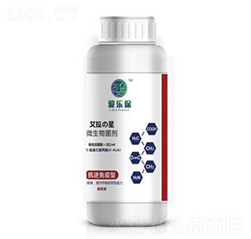 ����������΢��������������-�ۘ���-�����