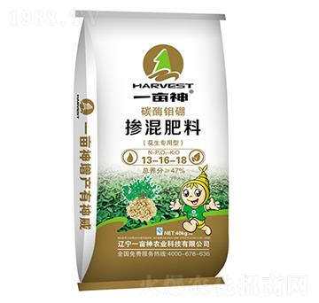 47%���������͓����