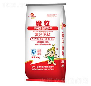 ̼ø��������⛏�(f��)�Ϸ���