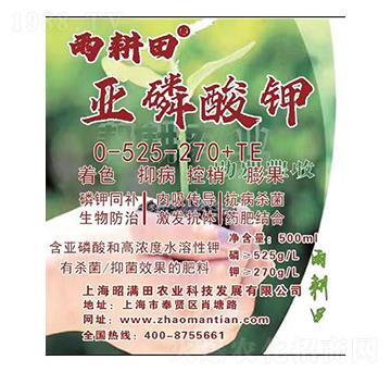 �������0-525-270+TE-�ѝM��