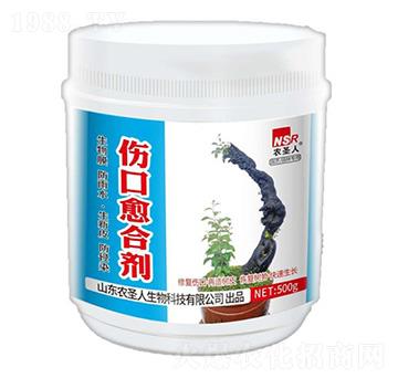 �������τ�-�rʥ��