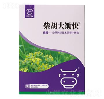 ������z��-���A����