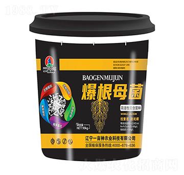 �߻��ԏ�(f��)�Ͼ��N-����ĸ