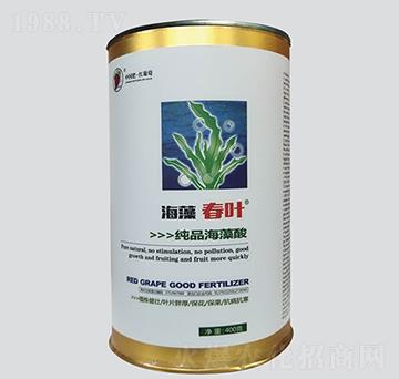 ���崺�~��Ʒ������-�t����