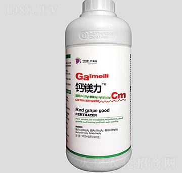 �}�V��-�t����