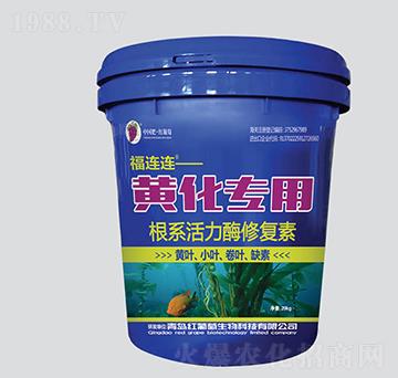 �S�����ø�ϵ����ø�ޏ�(f��)��-���B�B-�t����