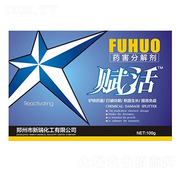 ��ˎ���x��ˎ���ֽ℩-����