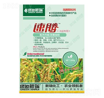 �������-����